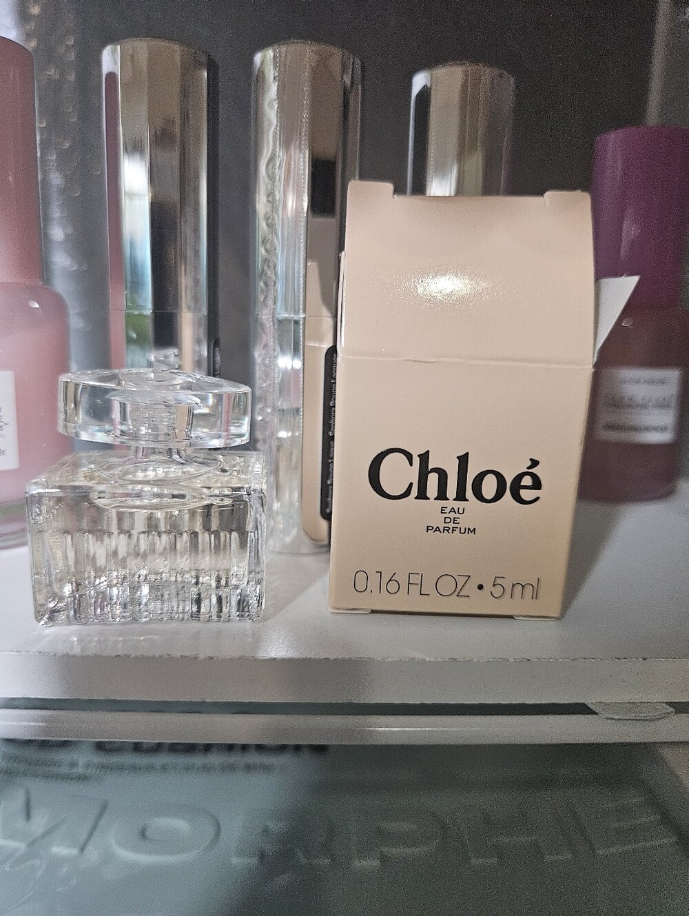 Chloe - Picture 7 of 8